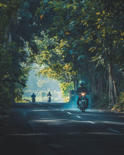 在树与树之间的道路上骑摩托车的人